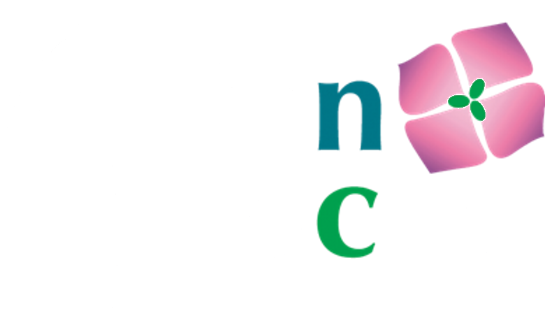 Asian Focus NC
